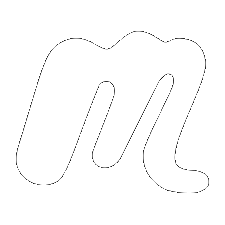 Meetup Tampa Speed Dating