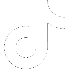 Tiktok Tampa Speed Dating
